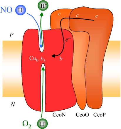 Fig. 4.