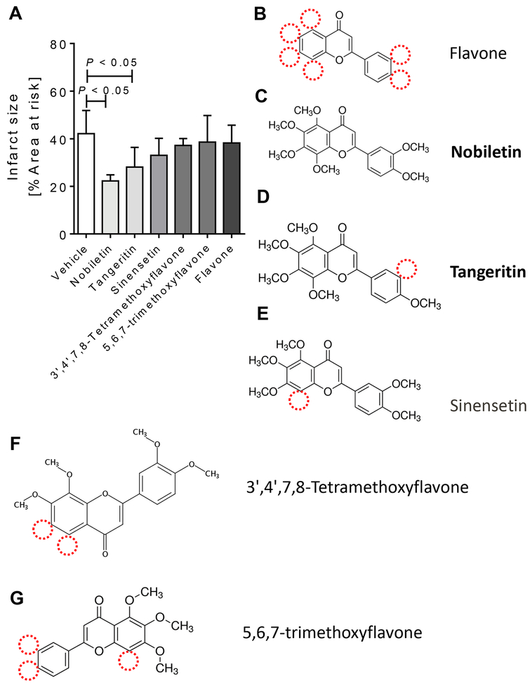 Figure 5.