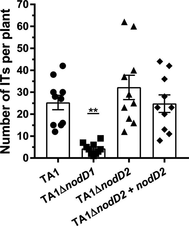 FIG 3