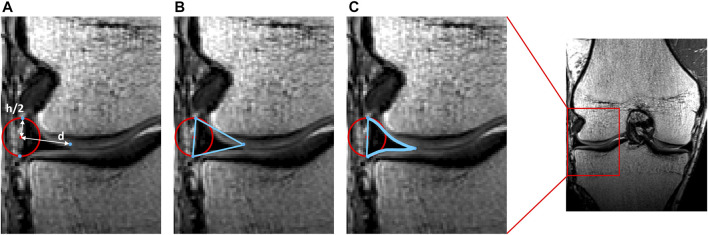 FIGURE 3