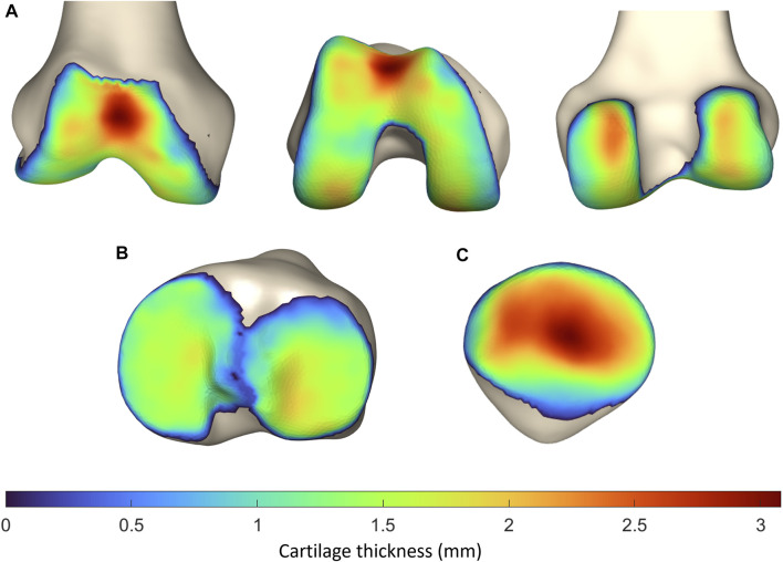 FIGURE 9