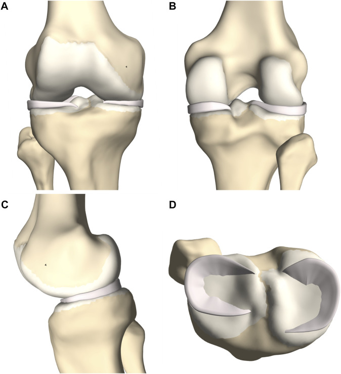 FIGURE 4