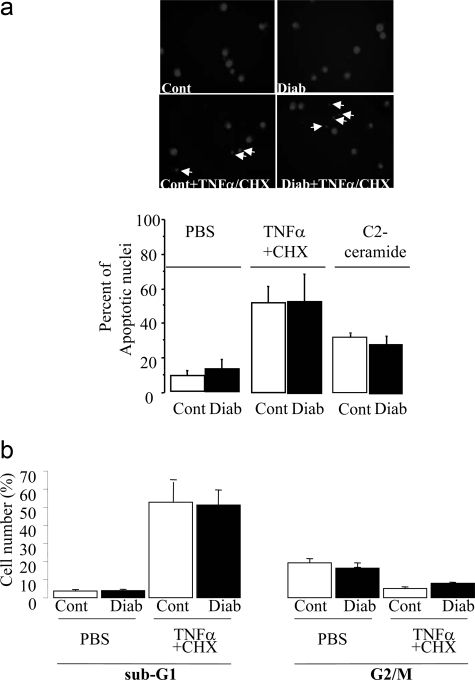 Figure 7-6928