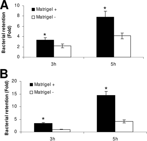 FIG. 6.