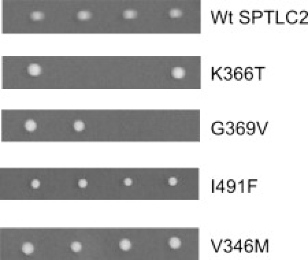 Figure 4