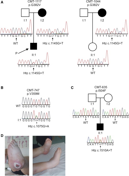 Figure 1