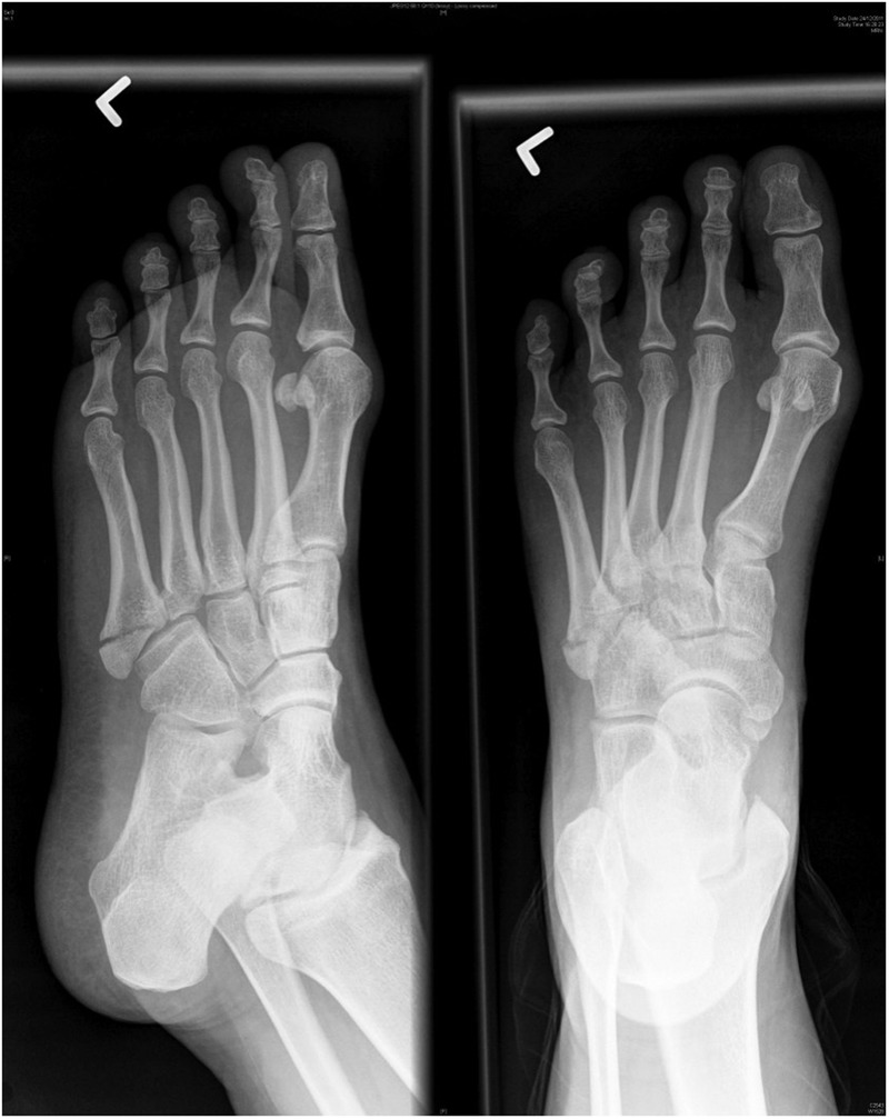Figure 1