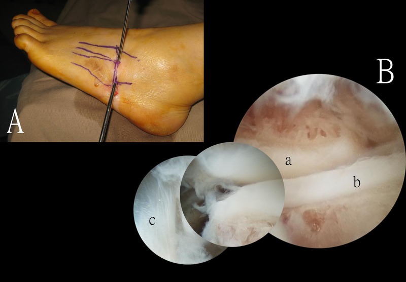 Figure 6