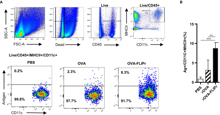 Figure 2