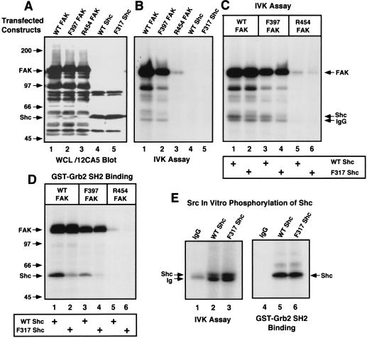 FIG. 8