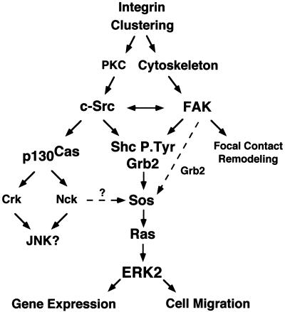 FIG. 10