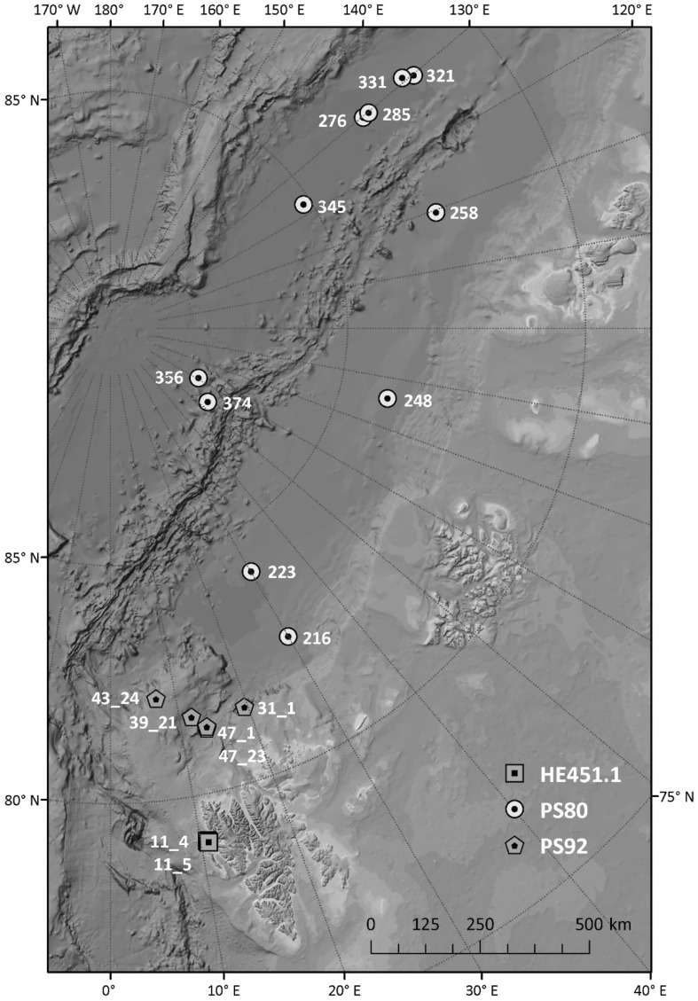 Fig. 1