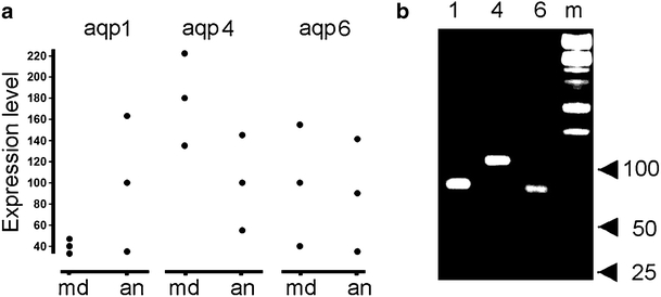 Fig. 4