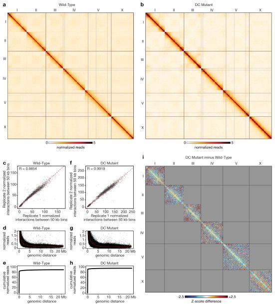 Extended Data Figure 1