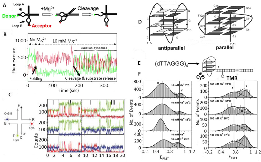 Fig. 10