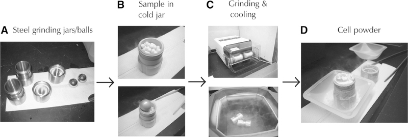 FIGURE 1.