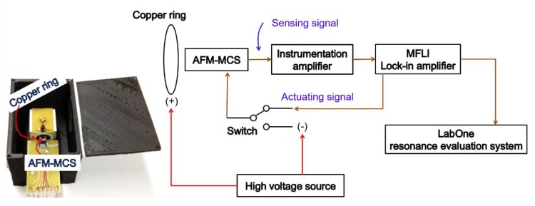 Figure 6