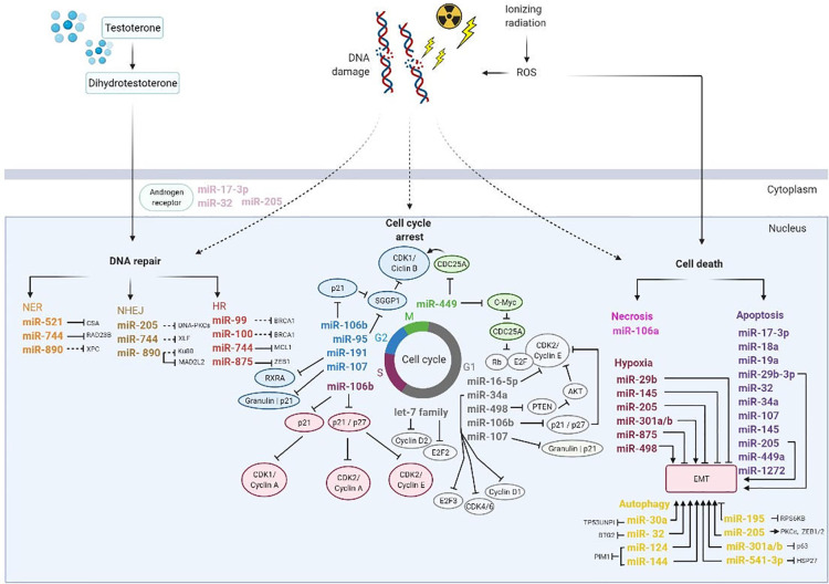 Figure 6