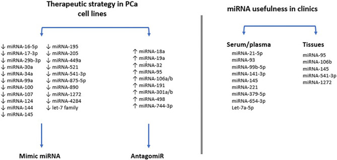 Figure 5