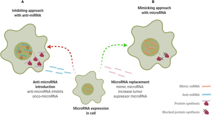 Figure 4