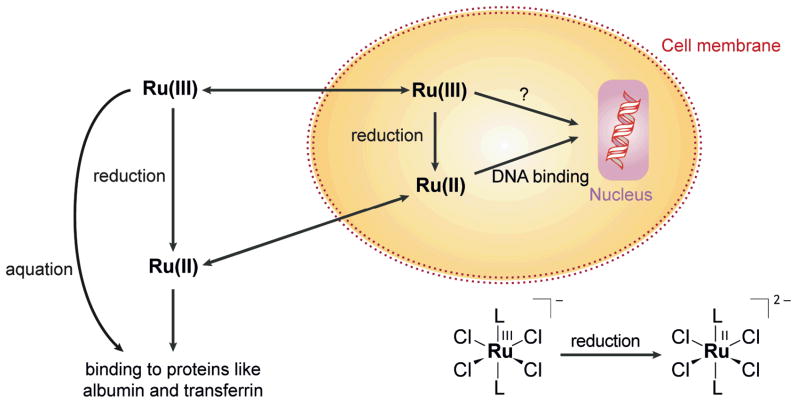 Scheme 3