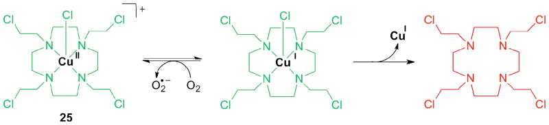 Scheme 5