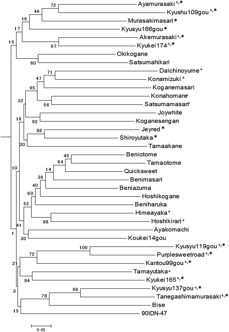 Figure 4.