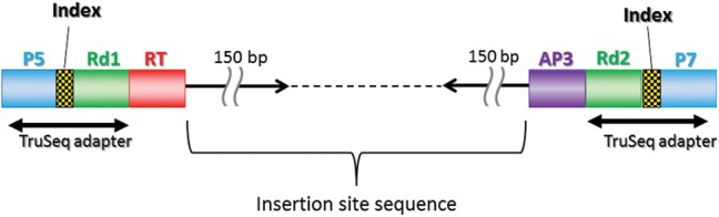 Figure 1.