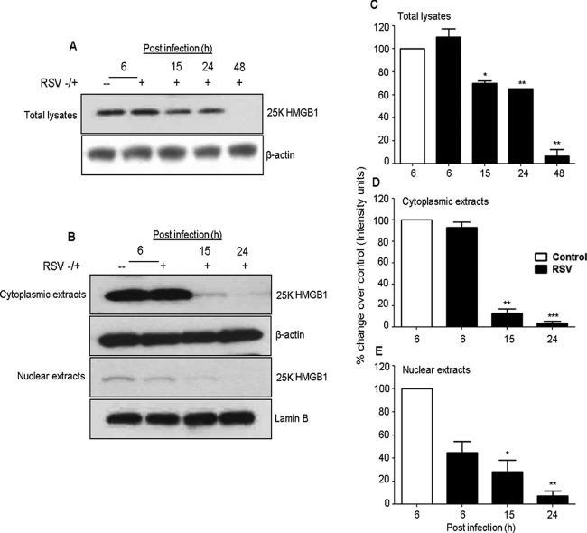 FIG 3