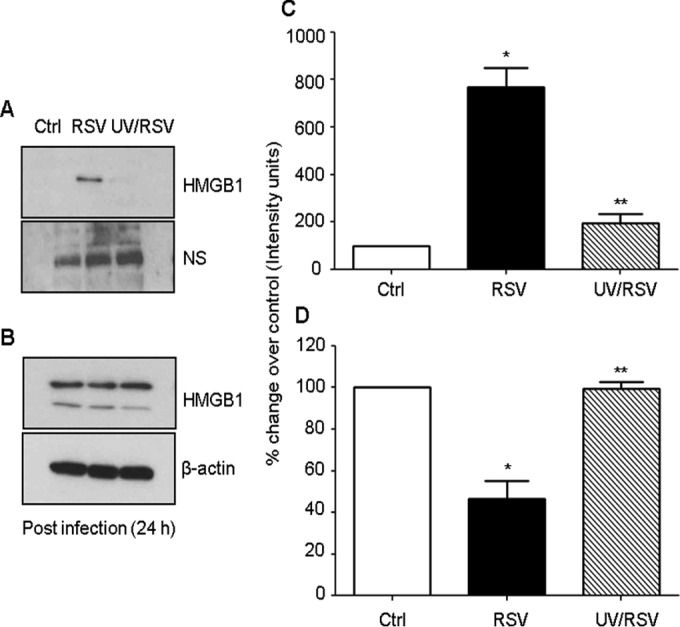 FIG 6