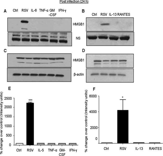 FIG 7