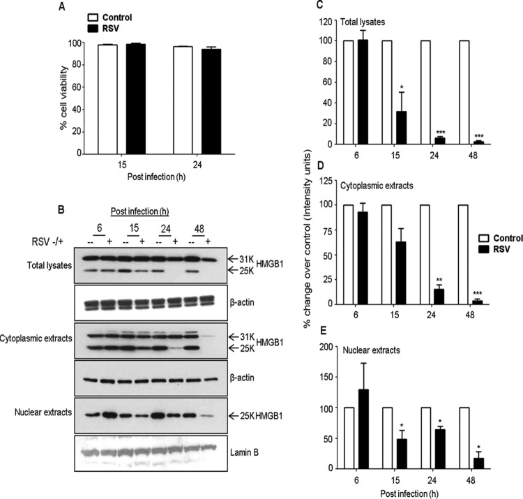 FIG 2