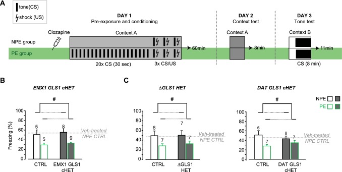 Figure 6—figure supplement 5.