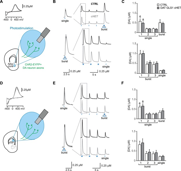 Figure 4—figure supplement 2.