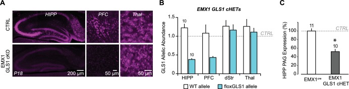 Figure 6—figure supplement 4.