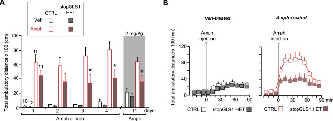 Figure 6—figure supplement 1.