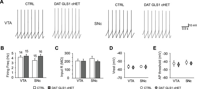 Figure 4—figure supplement 1.