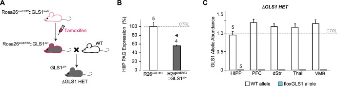 Figure 6—figure supplement 2.