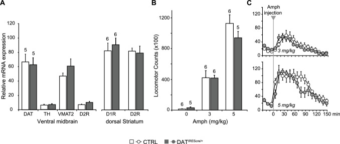 Figure 2—figure supplement 1.