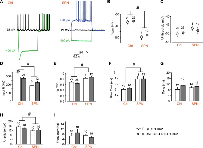 Figure 3—figure supplement 2.