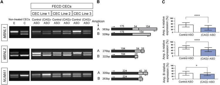 Figure 6