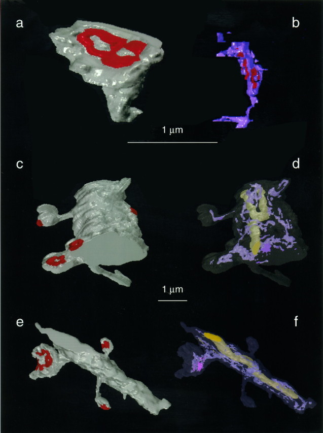 Fig. 8.