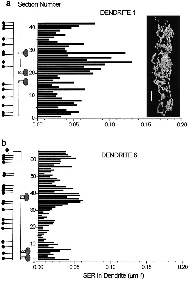 Fig. 9.