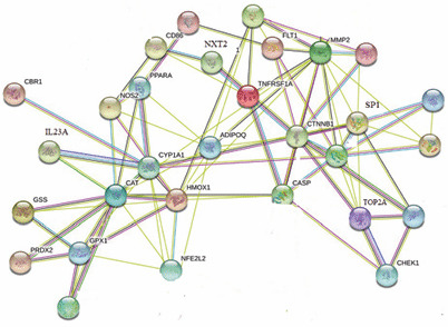 Fig. 3. 