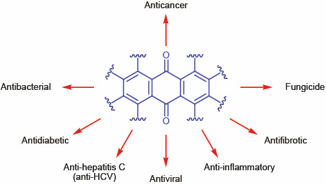 Fig. 1. 