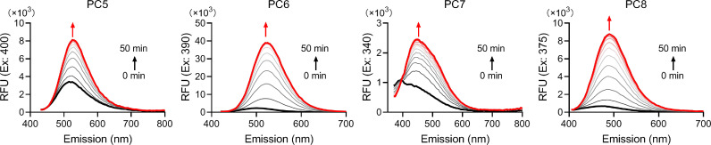 Figure 1—figure supplement 13.