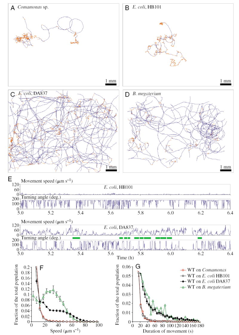 Fig. 4