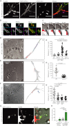 Figure 6