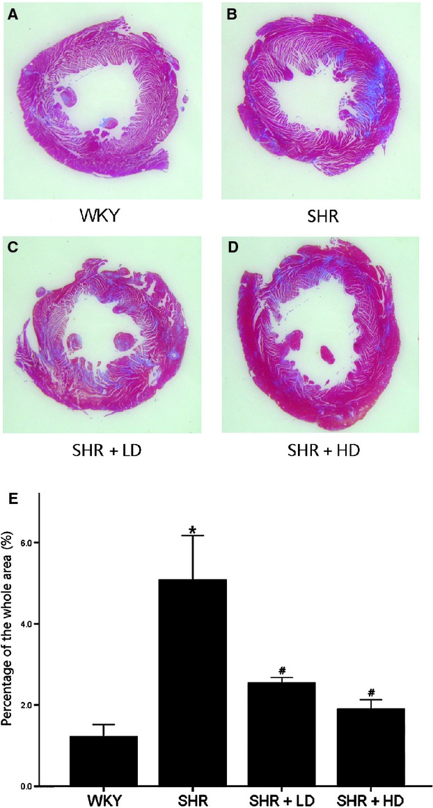 Fig 4