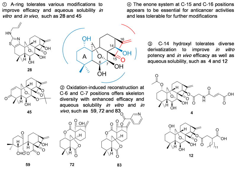 Fig. 12